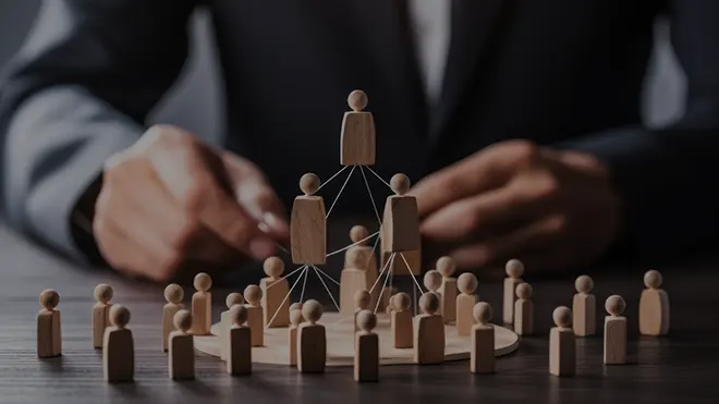 Bauen Sie ein Netzwerk auf und lernen Sie den Markt kennen